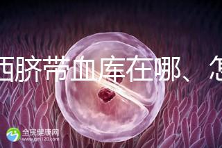 山西臍帶血庫在哪、怎么保存答案在這，太原存20年費用竟…