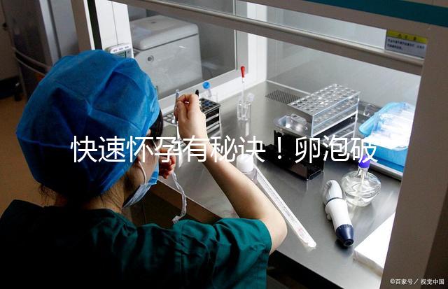 快速懷孕有秘訣！卵泡破裂后多久同房是關鍵