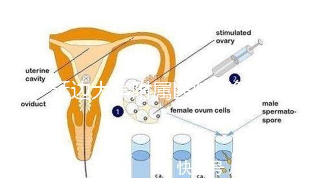 延邊大學附屬醫院試管怎么樣，助孕成功率、收費目錄表奉上