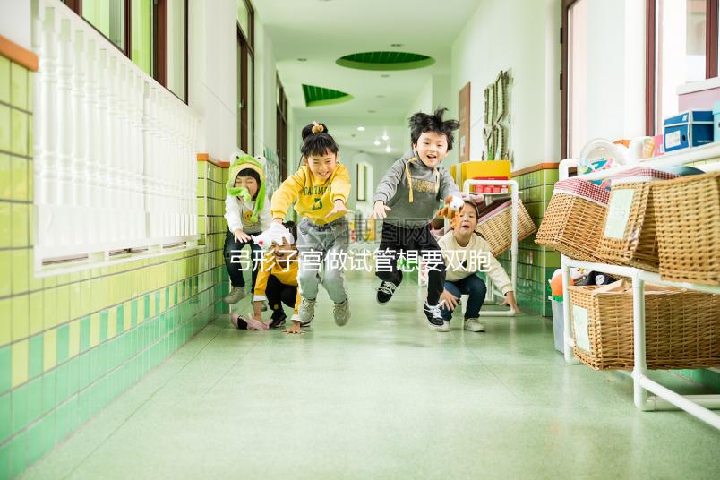 弓形子宮做試管想要雙胞胎,這4個條件成為攔路虎!