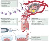 廣東育兒假期是強制規(guī)定！深圳包不包括雙休日這均有答復(fù)