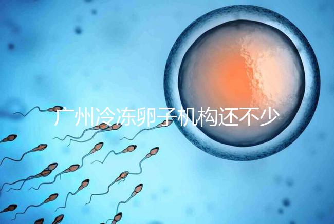 廣州冷凍卵子機(jī)構(gòu)還不少,但國(guó)內(nèi)凍卵這些條件你達(dá)成了嗎?
