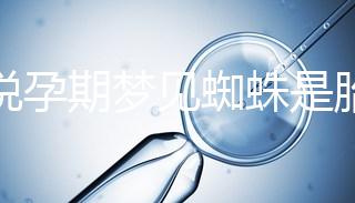 都說孕期夢見蜘蛛是胎夢，咬人、爬身上意思都不同快收藏