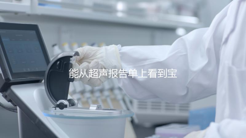 能從超聲報告單上看到寶寶的性別嗎？