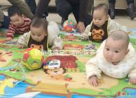 胚胎移植窗口期檢查多少錢答案在這，附era檢測(cè)費(fèi)用快收藏