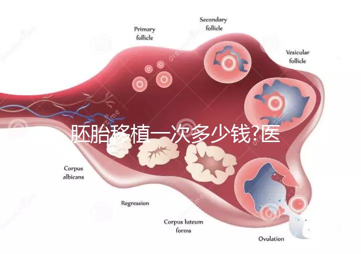胚胎移植一次多少錢?醫生:有剩余胚胎移植很便宜
