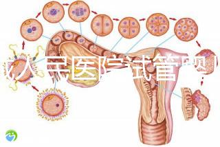 聊城人民醫院試管嬰兒成功率怎么樣，3大助孕案例告訴你答案