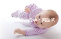 菠蘿有助于受孕?美國試管嬰兒移植后的5個冷知識都看看