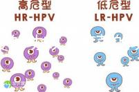 芫荽的功效(芫荽的功效與作用)