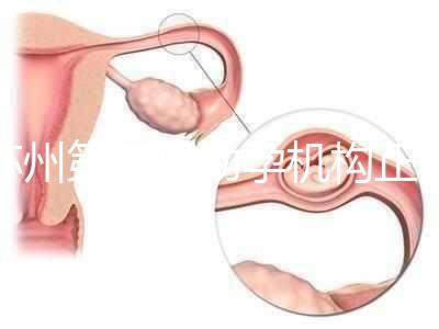 蘇州第三代助孕機(jī)構(gòu)正規(guī)可靠嗎?實地考察才為真