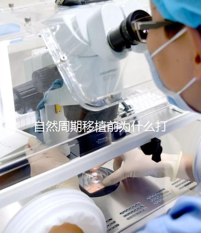 自然周期移植前為什么打絨促？作用不僅是提升妊娠率