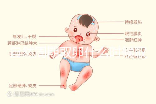 自然周期取卵什么時候?。孔罴褧r間應控制在這個時候