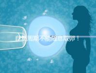 自然周期不能隨意取卵！滿足3點要求才能順利進行