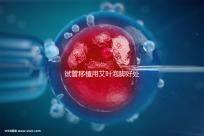 試管移植用艾葉泡腳好處多，幫助胚胎著床僅為其作用之一