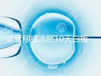 試管移植凍胚10天白板咋辦？懷孕還有希望別擔心