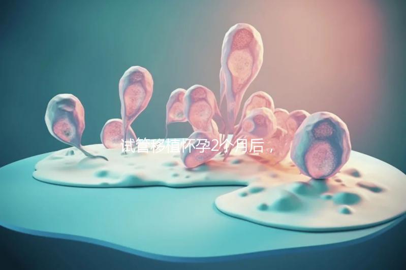 試管移植懷孕2個月后，還能不能吃酸筍田螺？