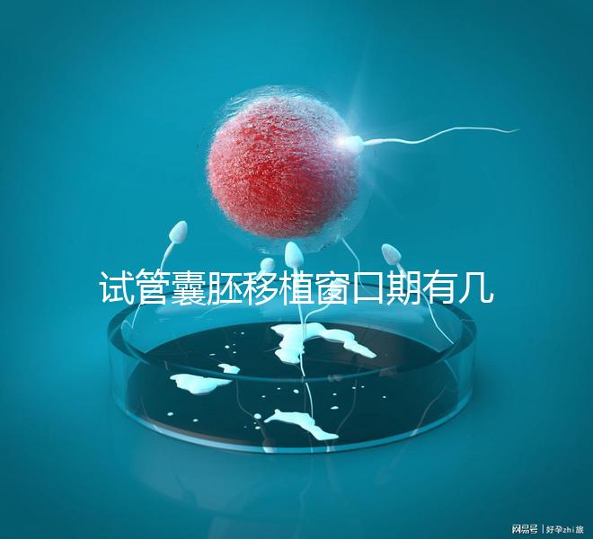 試管囊胚移植窗口期有幾天看這，弄明白什么時候更易著床