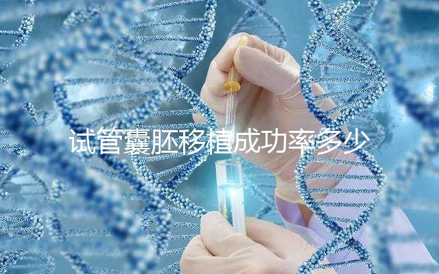 試管囊胚移植成功率多少?醫生:主要由胚胎質量等級決定