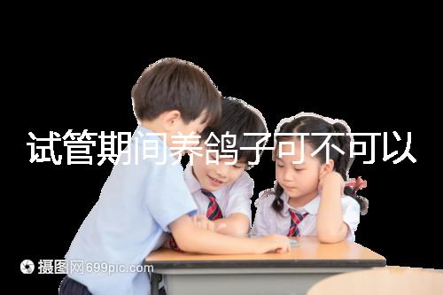 試管期間養(yǎng)鴿子可不可以大揭秘,影響抵抗力千萬(wàn)注意