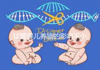 試管嬰兒養貓的影響不小,這三大危害一文說清楚