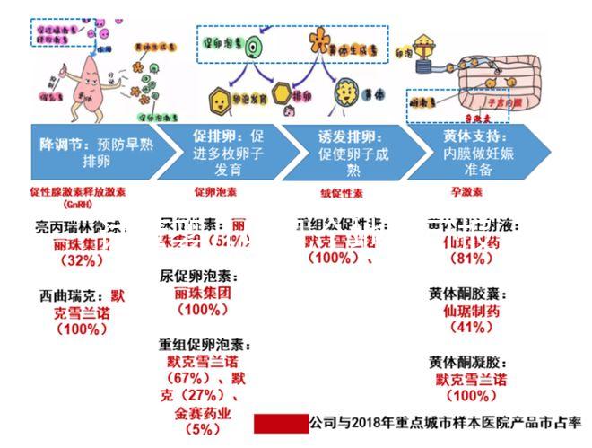試管嬰兒哪幾個(gè)地區(qū)可報(bào)銷醫(yī)保