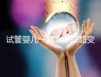 試管嬰兒一超一個(gè)二超變兩個(gè)要留意,當(dāng)心這些影響找上門
