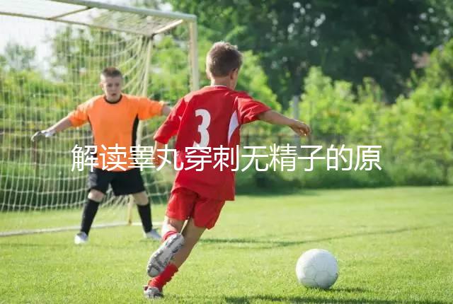 解讀睪丸穿刺無精子的原因,治愈性不大供精或是最后選擇