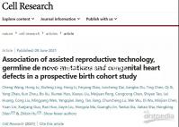 達芙通是什么藥?試管移植后胚胎著床的推手