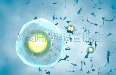 誰說貴陽供卵試管機構多給錢就不用排隊，醫生：不亂收費