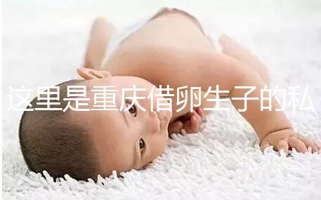 這里是重慶借卵生子的私立好醫院，附2024前三機構詳細介紹