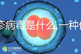 風(fēng)疹病毒是什么,一種僅限人類之間傳染的病毒