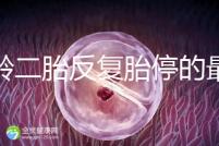 高齡二胎反復胎停的最大原因很簡單，染色體異常占50%