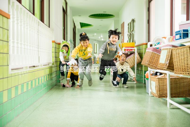 鮮胚囊胚凍胚，移哪個好？關于試管嬰兒的那些事兒