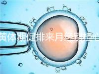 黃體期促排來月經別擔心!過來人經驗告訴你怎么辦