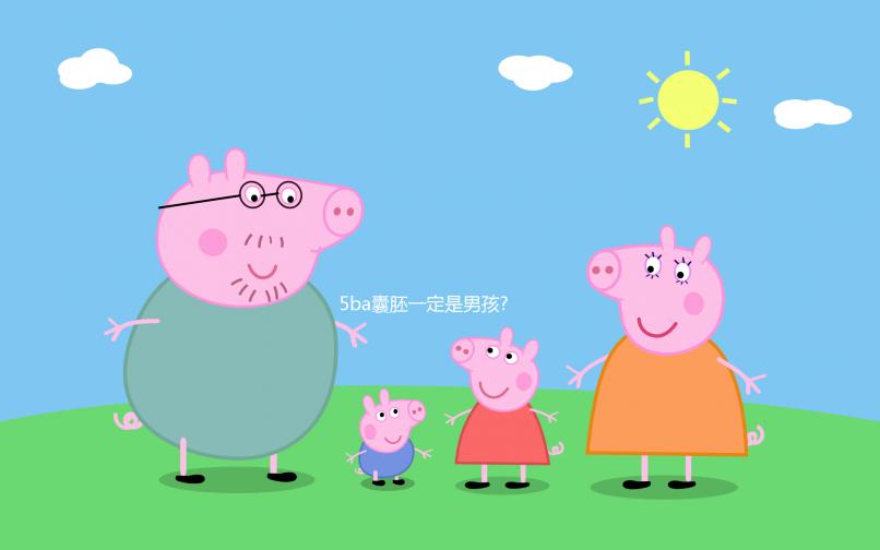 5ba囊胚一定是男孩?經驗之談:質量才是核心