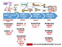 5bc囊胚移植后第六天測兩條杠要注意,第九天沒了不在少數