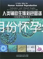 40歲幾月份懷孕生男孩？你想要的答案在生男生女清宮圖