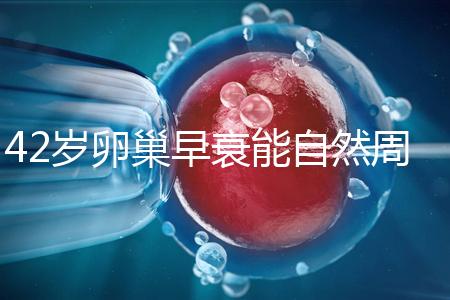 42歲卵巢早衰能自然周期取卵做試管嬰兒？