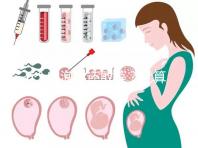 6個卵泡你還敢等？就算試管嬰兒也難一次成功！