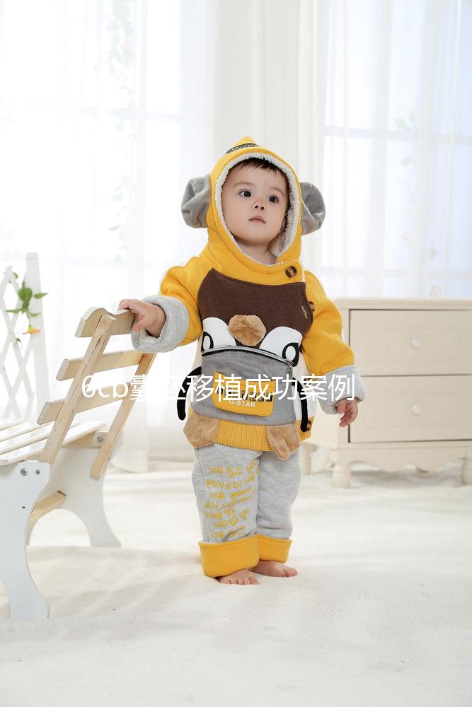 6cb囊胚移植成功案例并不少！過來人分享經驗帶你好孕