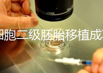9細胞二級胚胎移植成功案例不少，過來人告訴你著床率較高