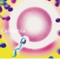California Cryobank，加州精子銀行實用指南