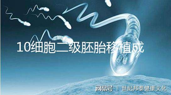 10細胞二級胚胎移植成功率解析,應(yīng)不應(yīng)該養(yǎng)囊答案在這