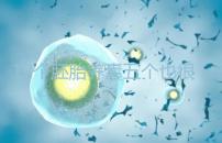 12個胚胎養(yǎng)囊五個也很正常，看完成功率就知所言非虛