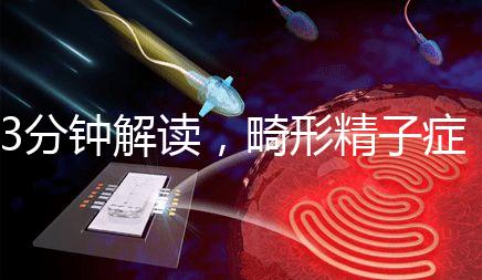 3分鐘解讀，畸形精子癥是什么病異常精子跟它的區別