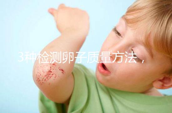 3種檢測卵子質(zhì)量方法，怎么做才能促進(jìn)卵泡發(fā)育