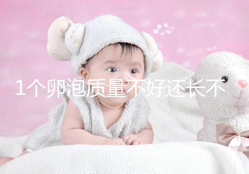 1個卵泡質(zhì)量不好還長不大，如何提高試管嬰兒懷孕成功率？