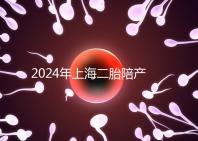 2024年上海二胎陪產假新規定，浦東10天或15天