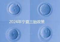 2024年寧夏三胎政策最新規(guī)定來襲,附西夏區(qū)實施時間