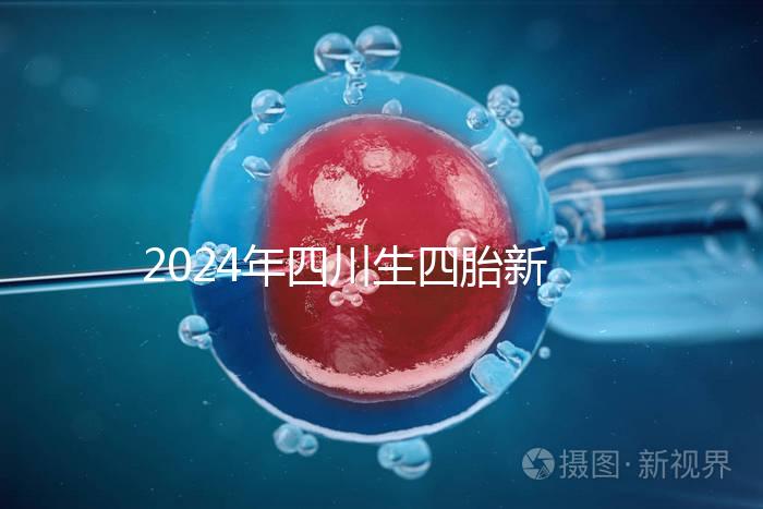 2024年四川生四胎新政策罰款多少分區，答案在這里自取